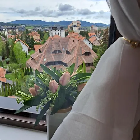 Apartman Tamjanika Lux *