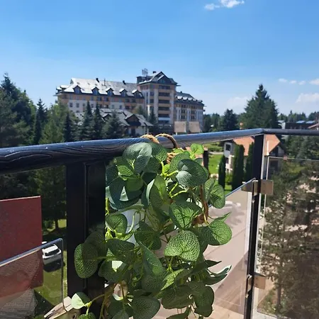 Tamjanika Lux * Zlatibor