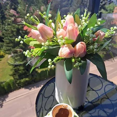 Apartman Tamjanika Lux